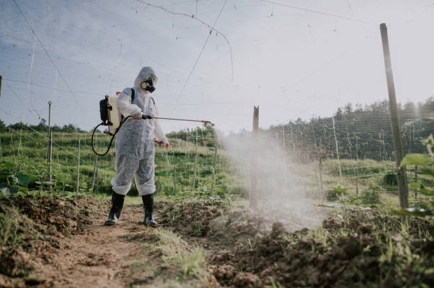 Pest Control Cost in Port Angeles East, WA